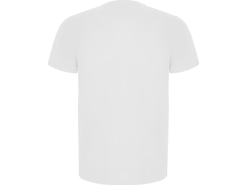 Спортивная футболка Imola мужская