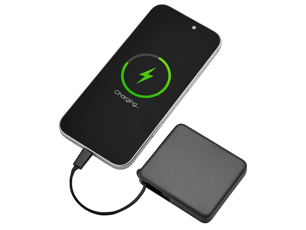 Внешний аккумулятор со встроенным кабелем USB-C Дэнси, 5000 мАч