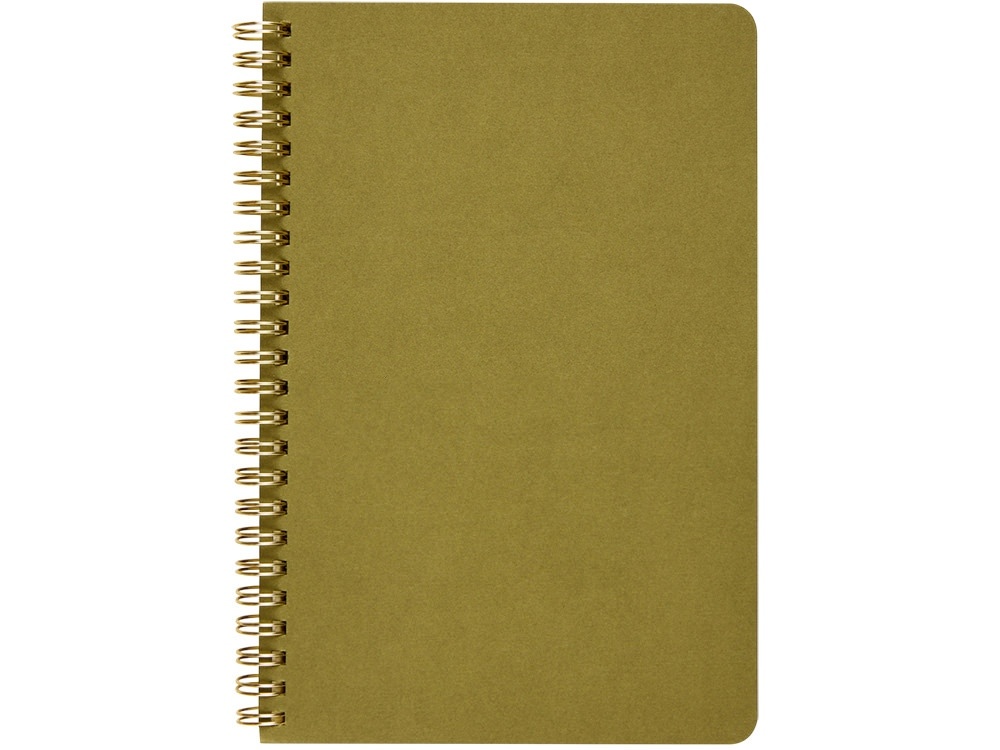 Бизнес тетрадь А5 Pragmatic