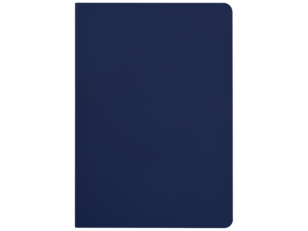 Бизнес-тетрадь А5 Pragmatic Contrast