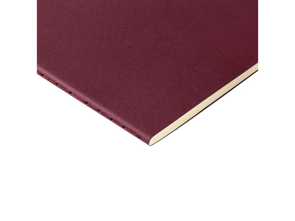 Бизнес-тетрадь А4 Pragmatic