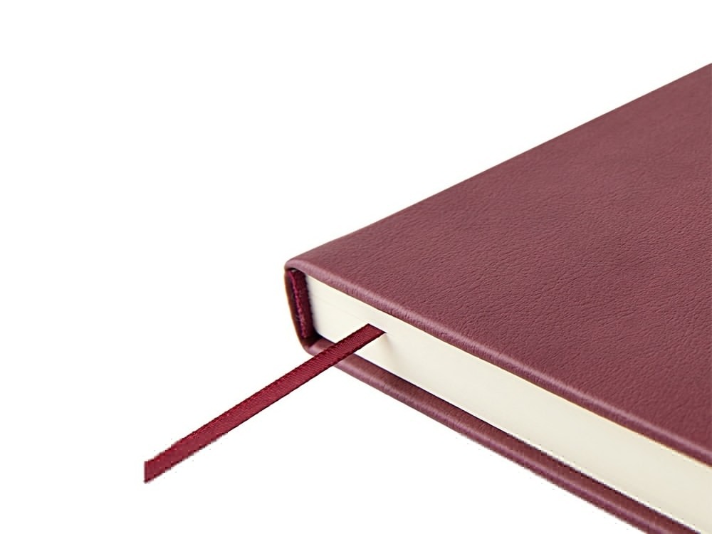 Ежедневник недатированный А5 Status