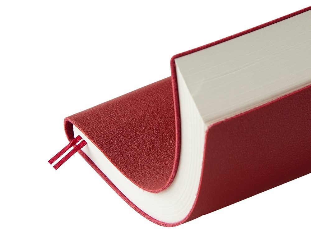 Ежедневник недатированный А5 Grand