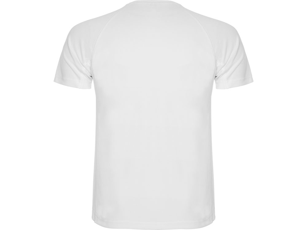 Спортивная футболка Montecarlo мужская