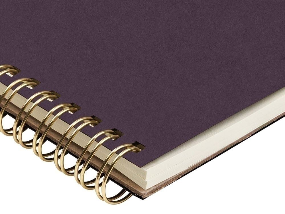 Бизнес тетрадь А5 Pragmatic