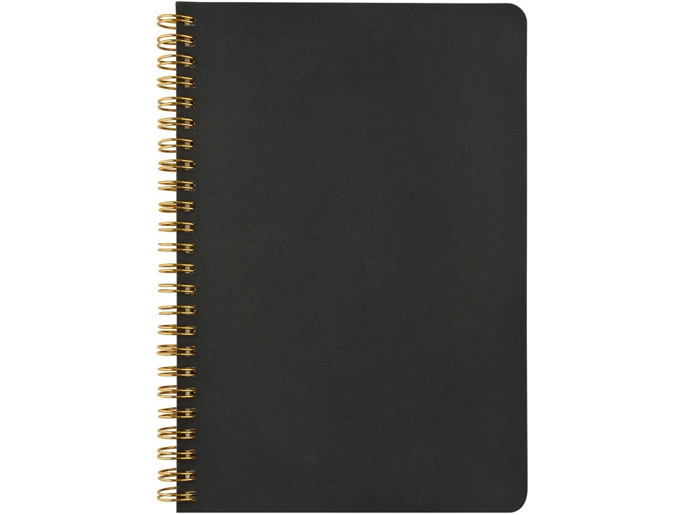 Бизнес тетрадь А5 Pragmatic