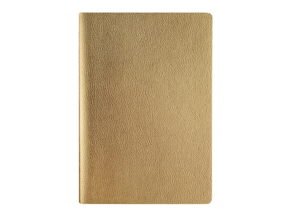 Бизнес тетрадь А5 Megapolis Velvet flex soft touch