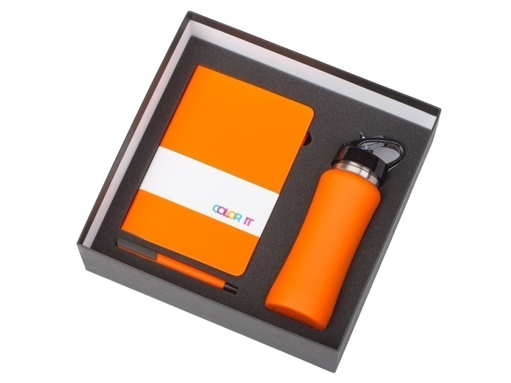 Подарочный набор c блокнотом C3, ручкой и бутылкой