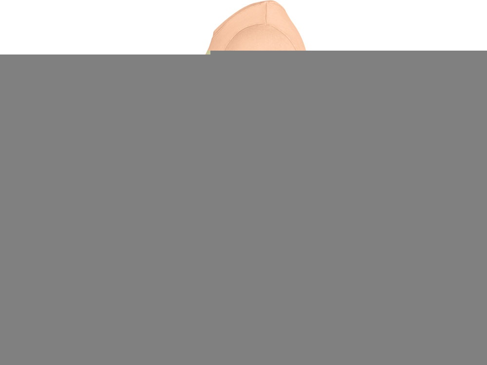 Футболка Corgi, мужская