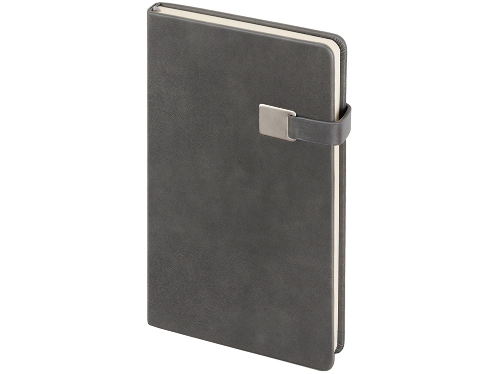 Ежедневник недатированный А5 Premier