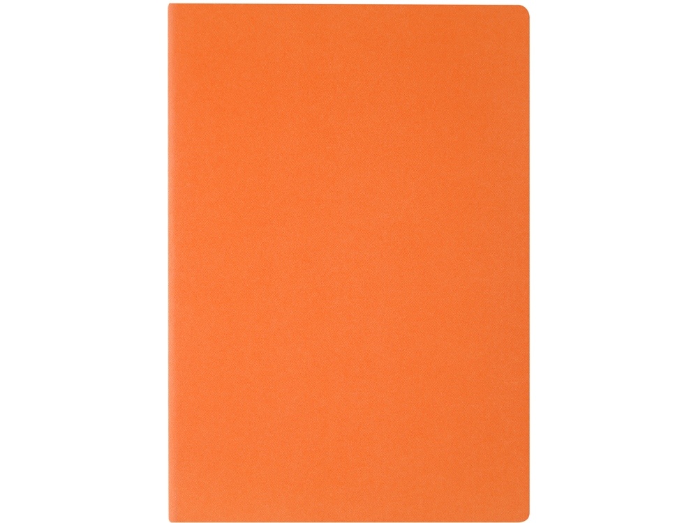 Бизнес тетрадь А5 Pragmatic