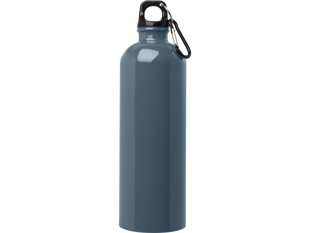 Одностенная бутылка для воды с карабином Oregon, 750 мл