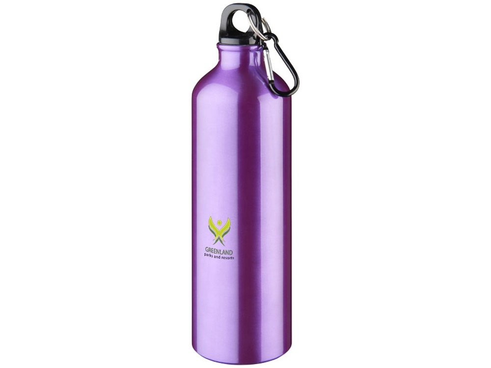 Алюминиевая бутылка Oregon с карабином