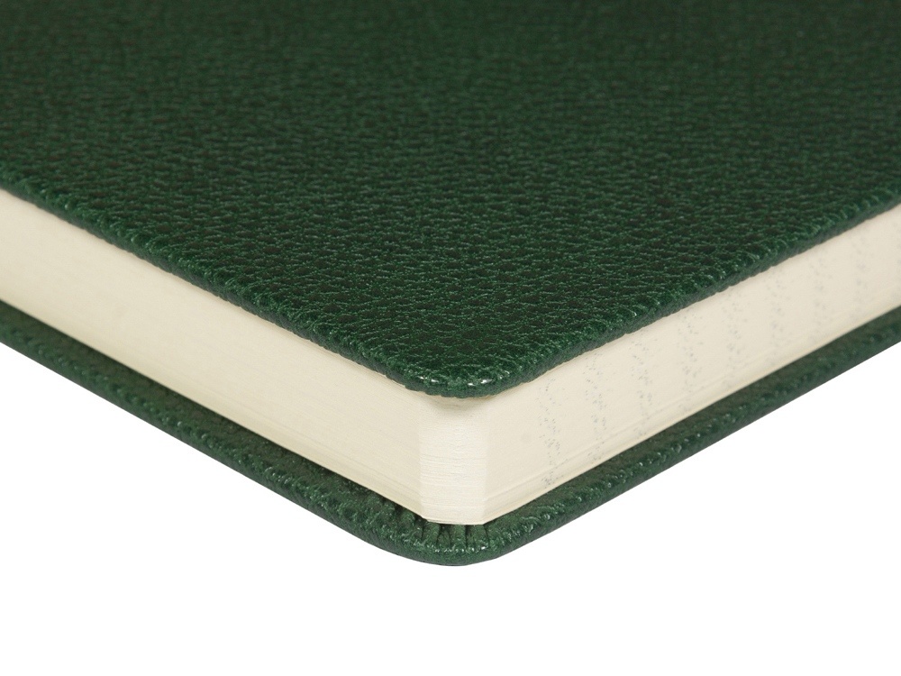 Ежедневник недатированный А5 Megapolis Loft