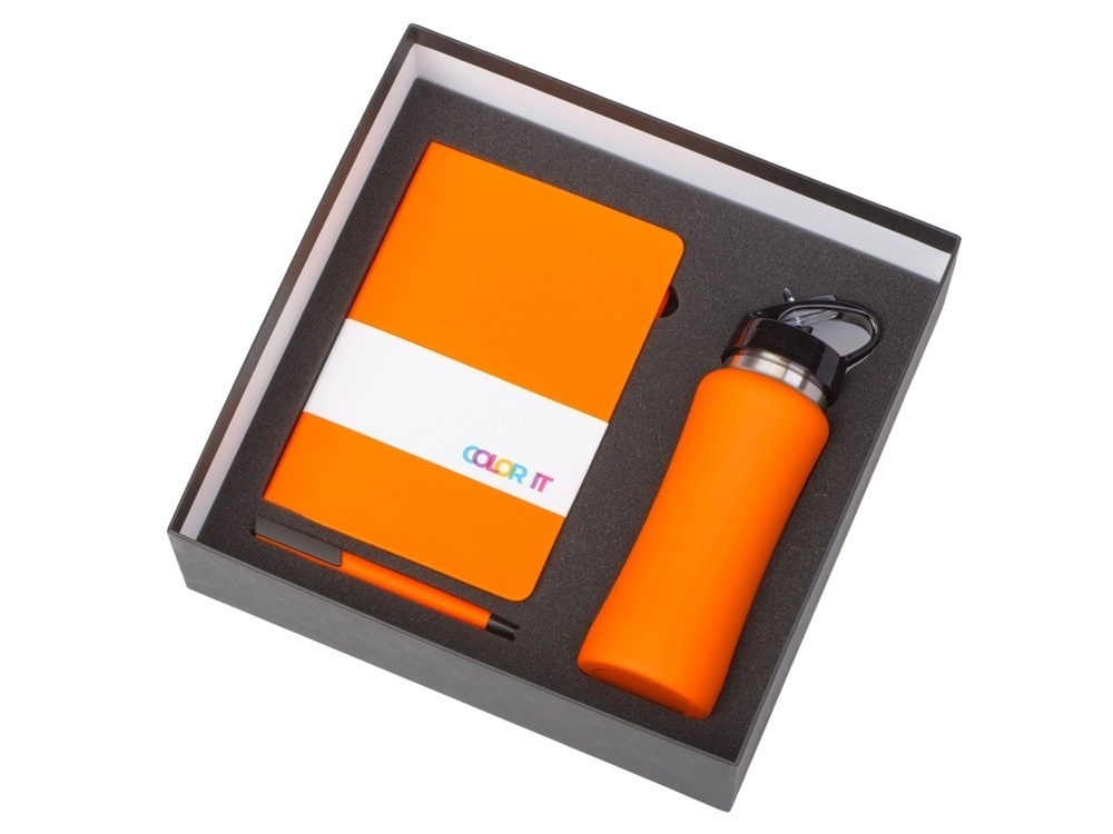 Подарочный набор c блокнотом C3, ручкой и бутылкой