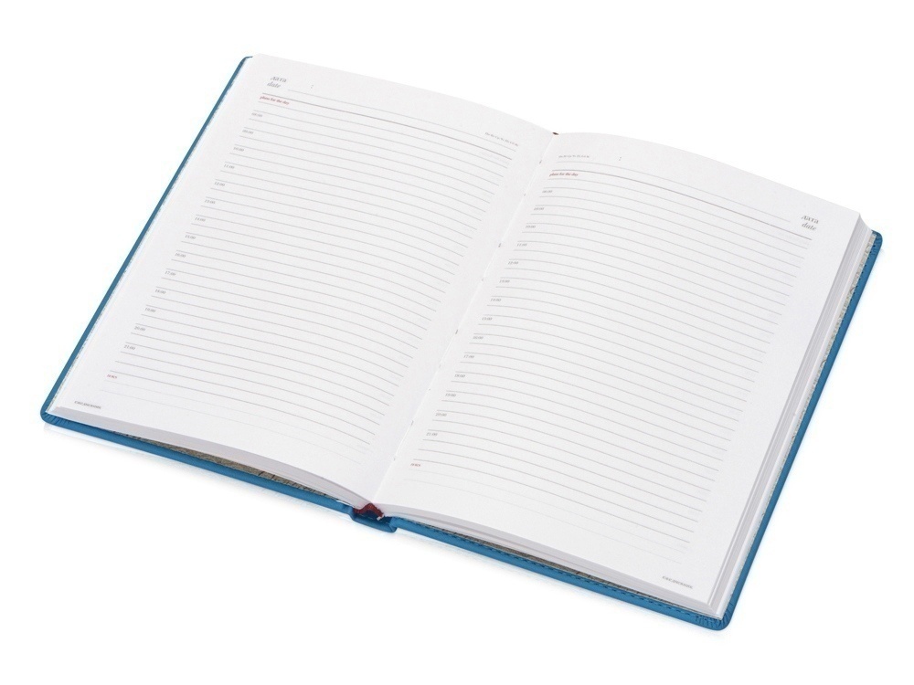 Ежедневник недатированный А4 Velvet