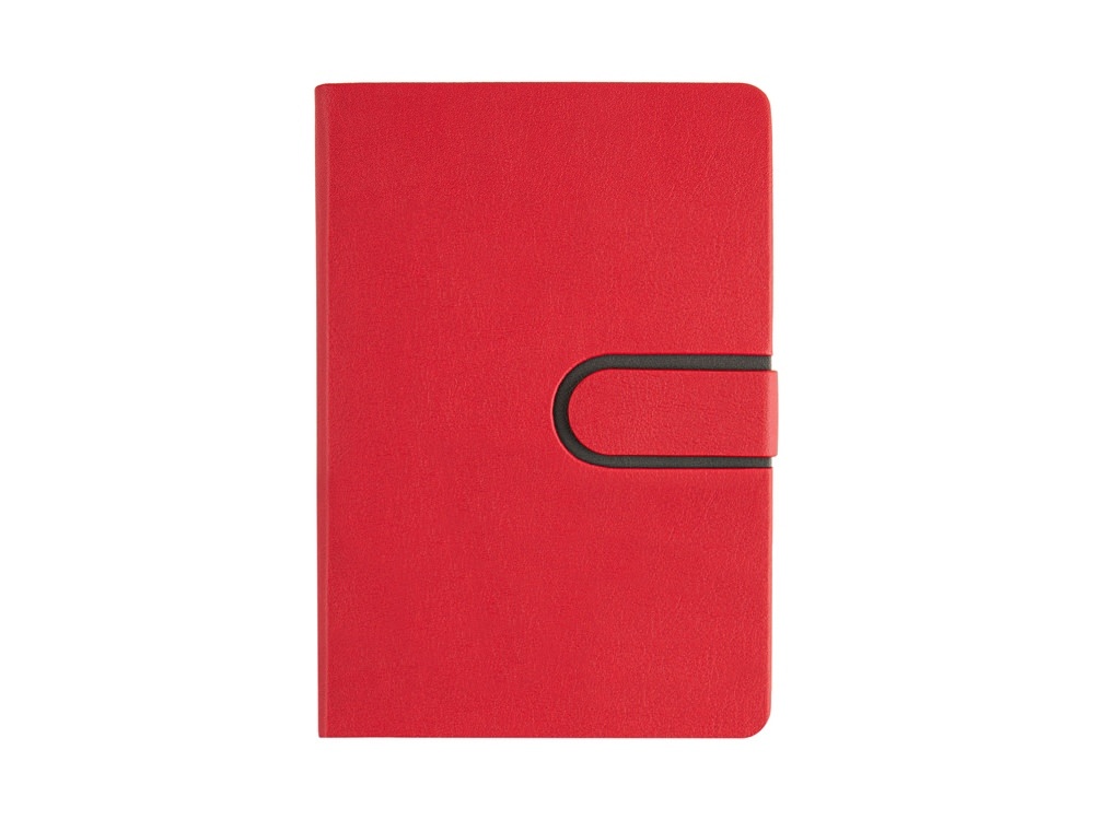 Ежедневник недатированный А5 Status