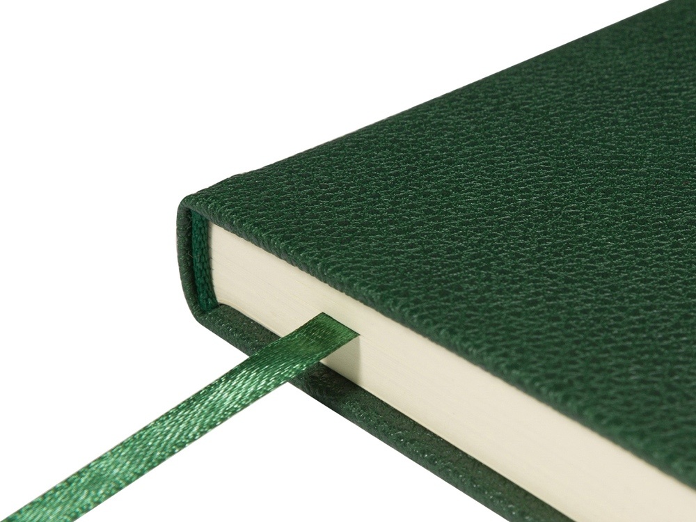 Ежедневник недатированный А5 Megapolis Loft